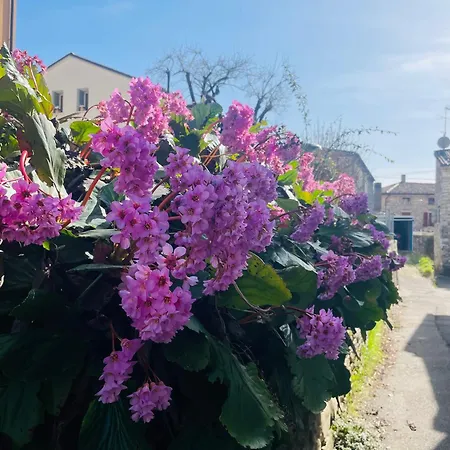 Borgo Cortivi 3*